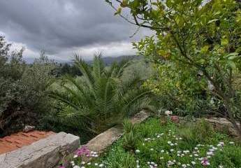 453688-Vorschaubild2