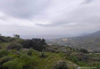 461038-Vorschaubild3