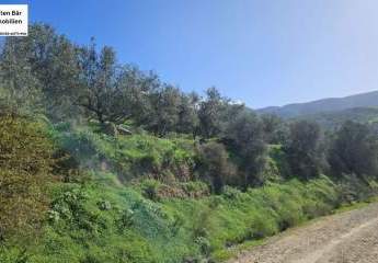 461039-Vorschaubild2