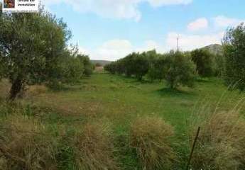 Kreta, Chantras - bebaubares Grundstück 1.500qm