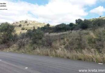 462828-Vorschaubild4