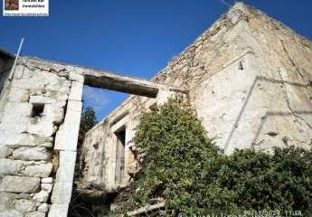 461044-Vorschaubild3