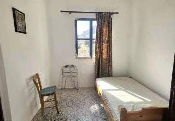 452569-Vorschaubild3