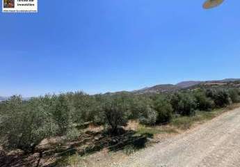 452575-Vorschaubild3