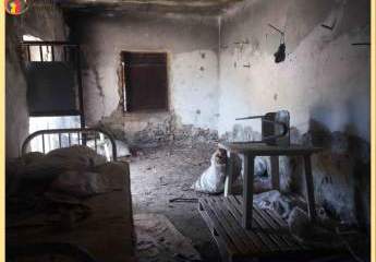 461045-Vorschaubild4