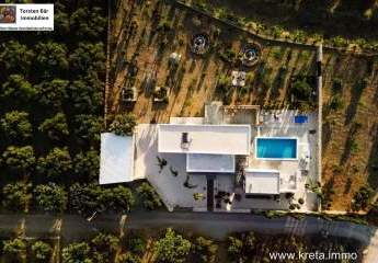 452829-Vorschaubild2