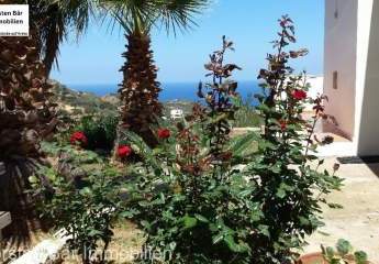 461052-Vorschaubild3