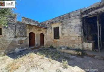 449040-Vorschaubild3