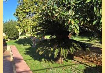 461069-Vorschaubild3