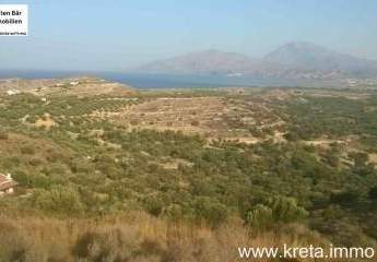 461093-Vorschaubild4