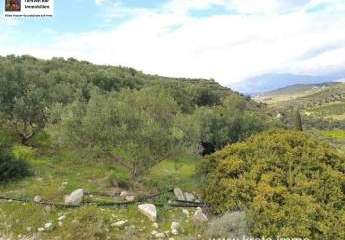 461094-Vorschaubild4