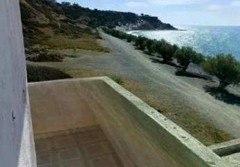 469601-Vorschaubild4