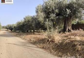 461095-Vorschaubild2