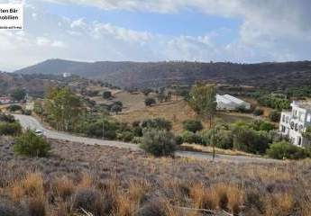 461100-Vorschaubild4