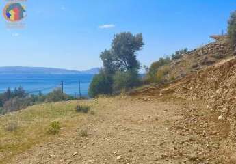 461105-Vorschaubild3