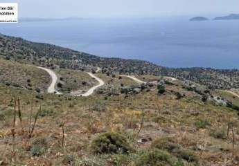 461106-Vorschaubild2