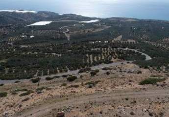 450940-Vorschaubild4