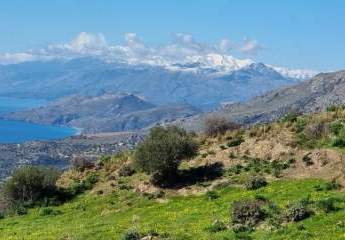 461116-Vorschaubild4