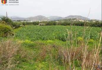 461120-Vorschaubild3