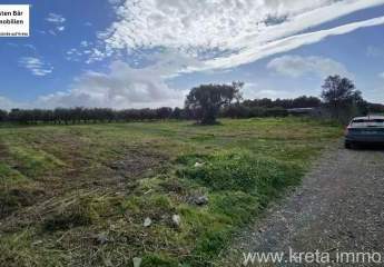 479919-Vorschaubild4