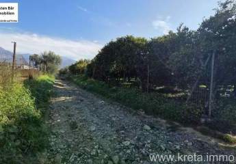 479938-Vorschaubild3