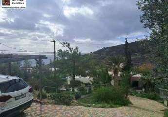 468549-Vorschaubild4