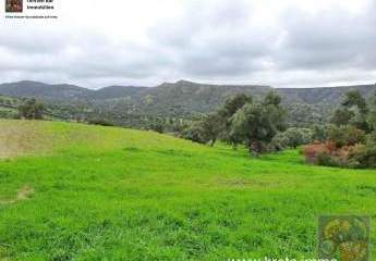 Süd Kreta, Pitsidia Grundstück 18.000m² zu verkaufen