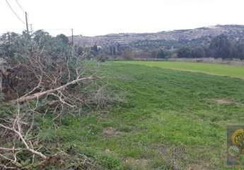 Süd Kreta, Pitsidia Grundsück 1.400 m² innerhalb der Bauzone