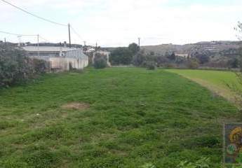 461147-Vorschaubild4