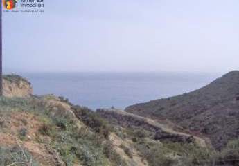 451244-Vorschaubild2