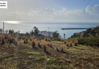 469265-Vorschaubild2