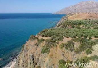 472495-Vorschaubild4