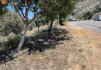 461171-Vorschaubild4