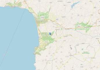 470916-Vorschaubild2