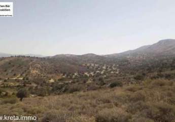 461372-Vorschaubild2