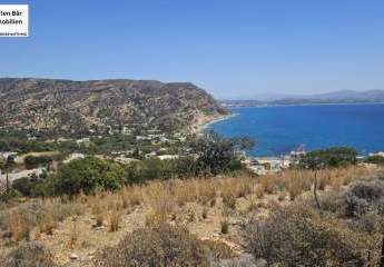 461194-Vorschaubild3