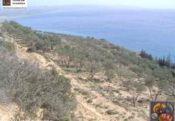 461233-Vorschaubild2