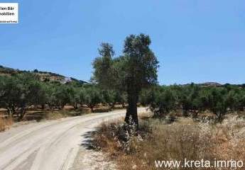 461236-Vorschaubild4