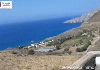 461251-Vorschaubild4