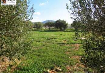 Kreta, Makri-Gialos, Grundstück innerhalb des Stadtgebiets zu verkaufen