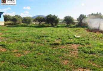 461261-Vorschaubild2