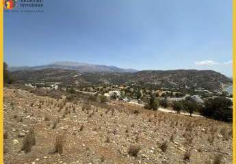 470899-Vorschaubild3