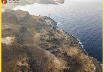 461271-Vorschaubild3