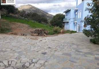 469267-Vorschaubild3