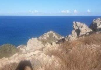 460777-Vorschaubild3