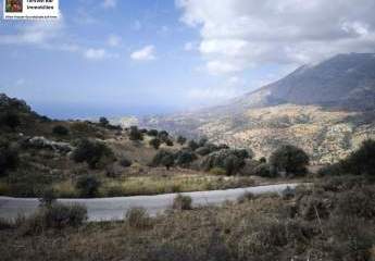 471496-Vorschaubild3