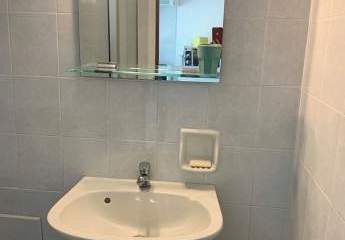 479581-Vorschaubild2