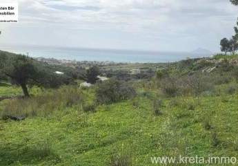 479937-Vorschaubild4