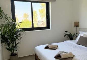 485117-Vorschaubild4