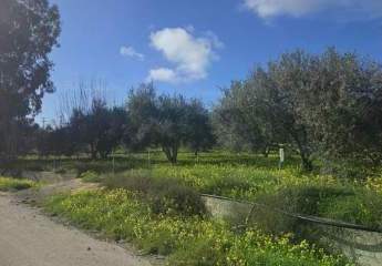 471501-Vorschaubild2